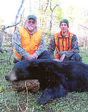 Black bear